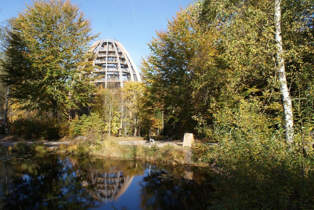 Landhotel Koller Ringelai Exteriér fotografie